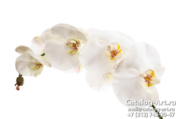 Натяжные потолки с фотопечатью - Белые орхидеи 38